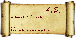 Adamik Sándor névjegykártya